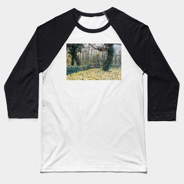 Autumn forest with tree brenches and fallen leaves Baseball T-Shirt by KargacinArt